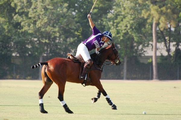 Professional polo player Sunny Hale